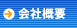 WEB�R���T���^���g�̉�ЊT�v