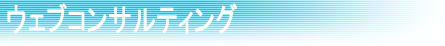 WEB�R���T���^���g���S